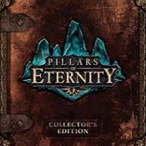 Pillars of Eternity (Champion Edition), Multilanguage, Steam